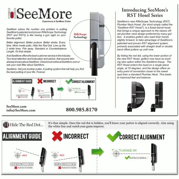 SEEMORE PVD CLASSIC FGP MALLET PUTTER 9 SEEMORE PVD CLASSIC FGP MALLET PUTTER - Image 7